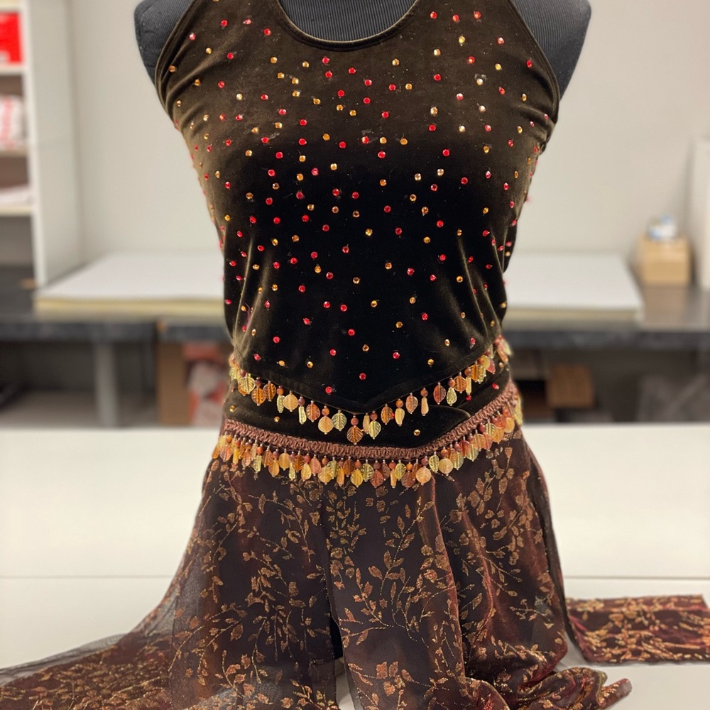 The line up brown velour dance costume rhinestones. Beaded trim.